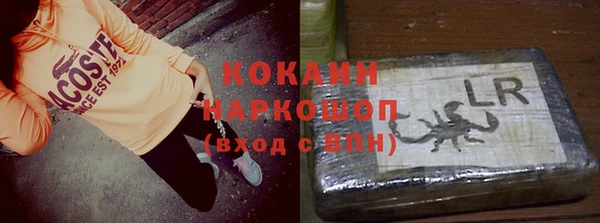 дживик Инта
