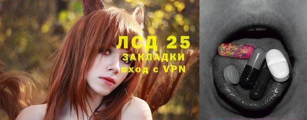дживик Инта