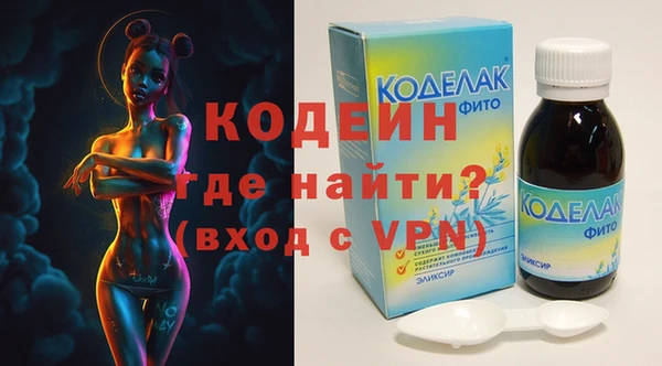 дживик Инта