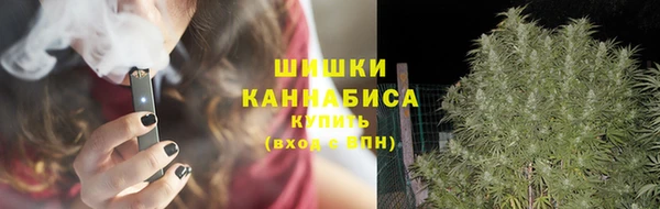 дживик Инта
