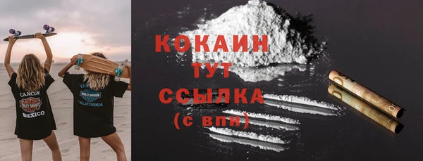 ПСИЛОЦИБИНОВЫЕ ГРИБЫ Кулебаки