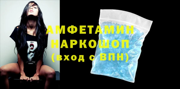 дживик Инта
