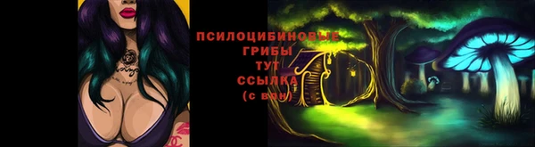 дживик Инта