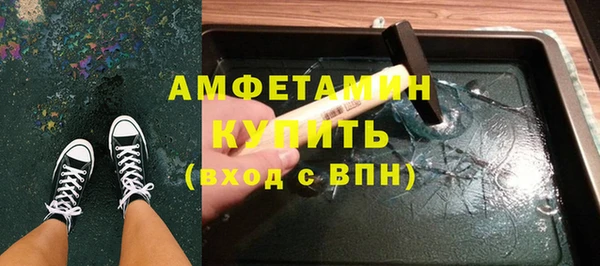 дживик Инта