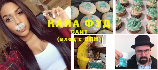 дживик Инта