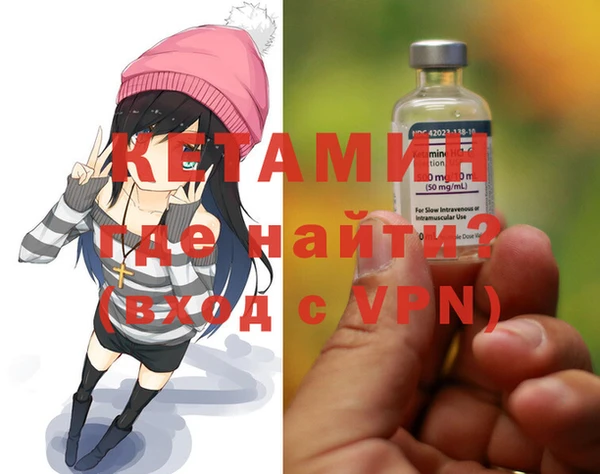 дживик Инта