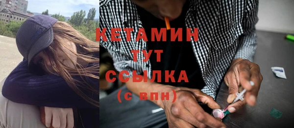 дживик Инта