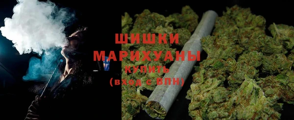 дживик Инта