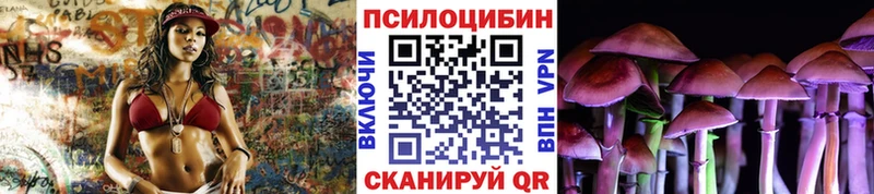 Галлюциногенные грибы Psilocybine cubensis Мурино