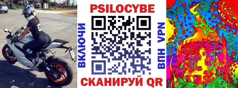 Псилоцибиновые грибы MAGIC MUSHROOMS  Мурино 