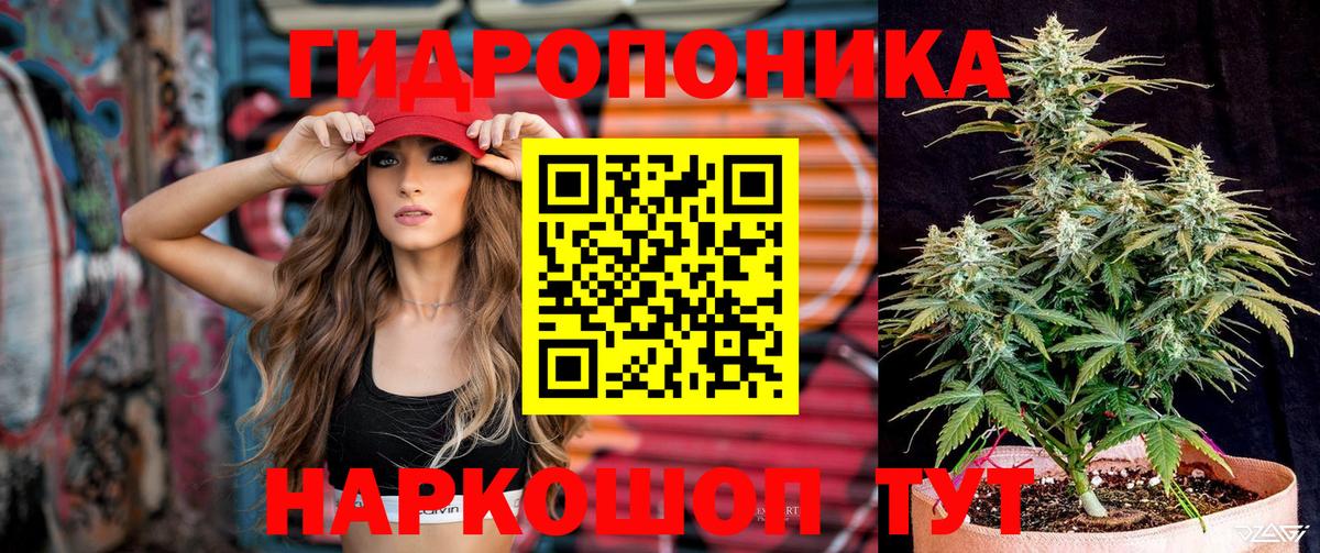 Шишки марихуана ГИДРОПОН  Вход с VPN  Конопля ГИДРОПОН  Мурино 
